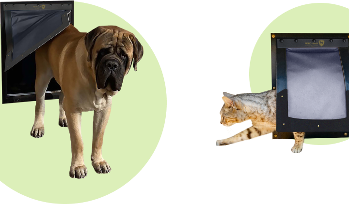 Dog and cat using RANGER pet doors, isolated, optimized for mobile